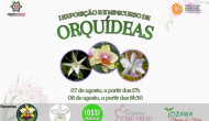 Faculdade Municipal de Bebedouro promove exposição e minicurso voltados ao cultivo de orquídeas