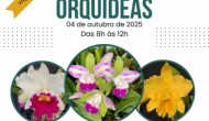 Faculdade Municipal de Bebedouro promove 1º Minicurso sobre Cultivo de Orquídeas
