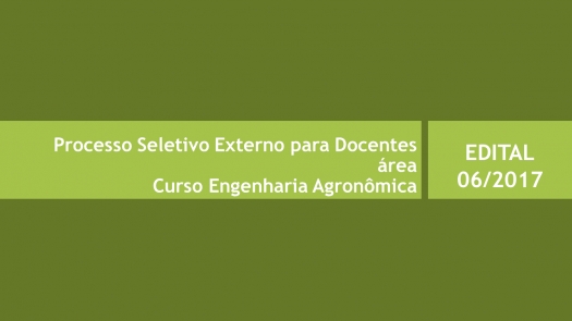 Processo Seletivo Externo para Docentes Edital 006/2017