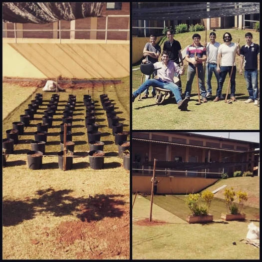 Alunos do Curso de Engenharia Agronômica desenvolvem trabalhos com Cana de Açucar