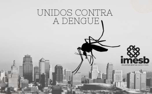 Dengue mata, faça sua parte!