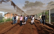 Curso de Engenharia Agronômica inicia projeto Horta na Escola