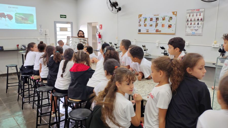 Alunos do SESI conhecem pesquisa sobre formigas cortadeiras