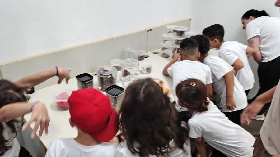 Alunos do SESI conhecem pesquisa sobre formigas cortadeiras