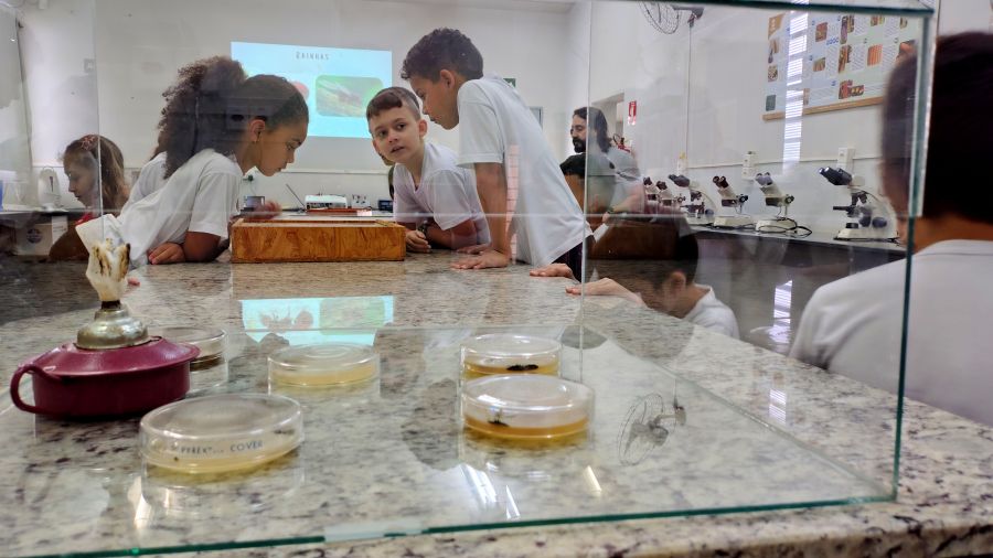 Alunos do SESI conhecem pesquisa sobre formigas cortadeiras