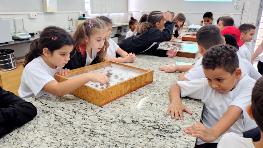Alunos do SESI conhecem pesquisa sobre formigas cortadeiras