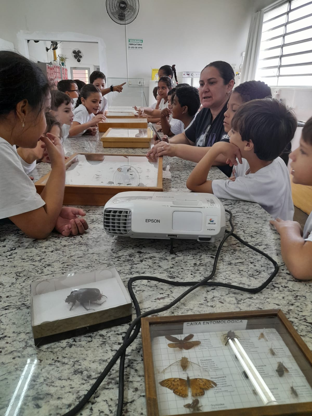 Estudantes do SESI visitam projeto sobre formigas cortadeiras na Faculdade Municipal de Bebedouro